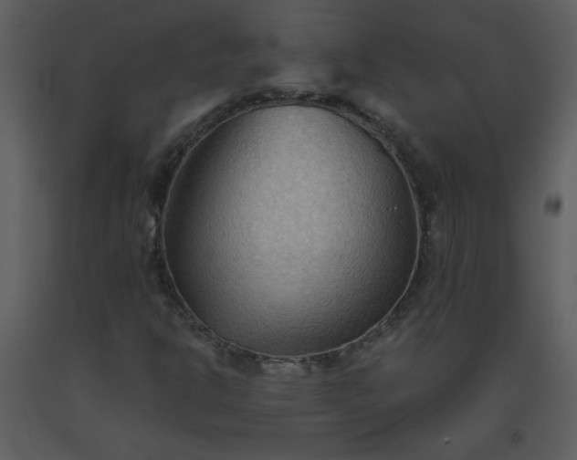 X0000093561302200710221414