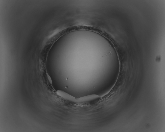 X0000093561303200710221414