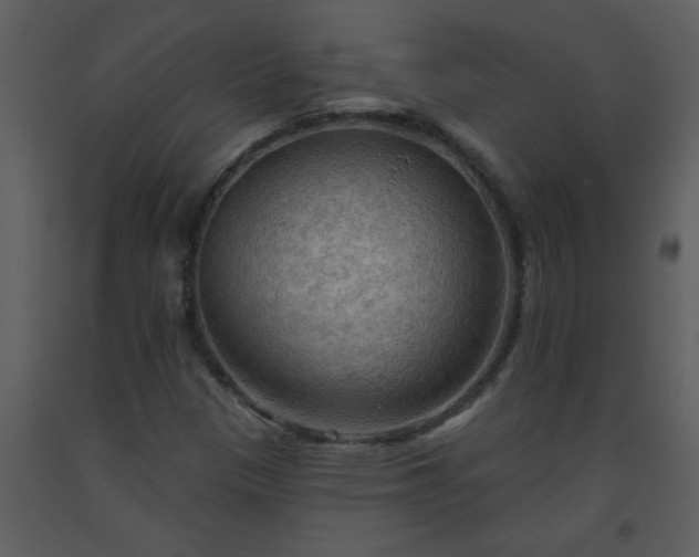 X0000093561305200710221414