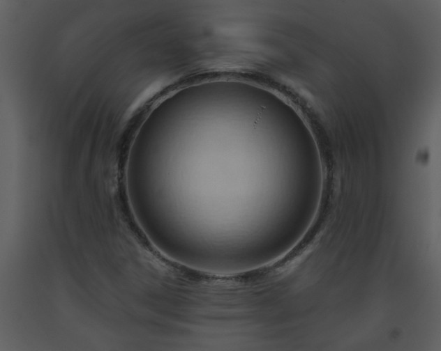 X0000093561306200710221414