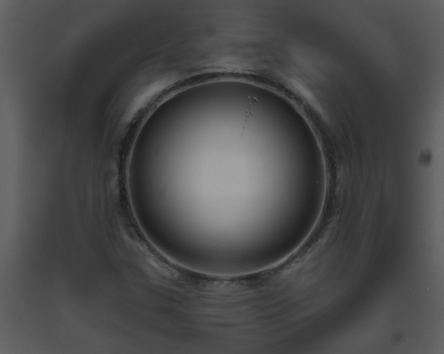 X0000093561307200710221414