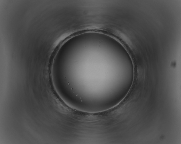X0000093561308200710221414