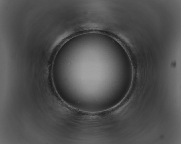 X0000093561309200710221414