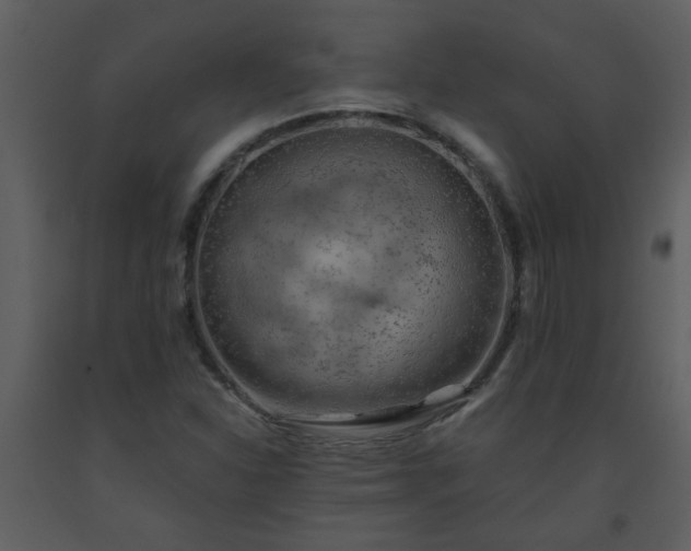 X0000093561310200710221414