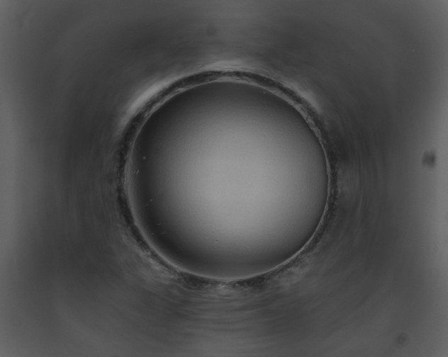 X0000093561311200710221414