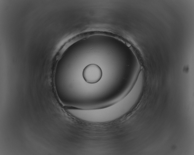 X0000093561312200710221414