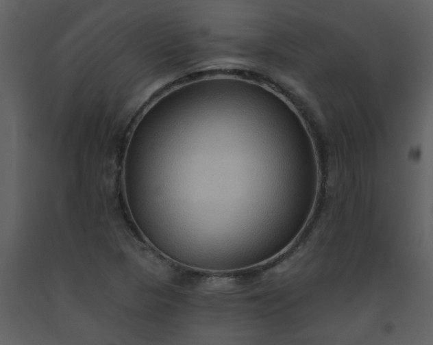 X0000093561313200710221414