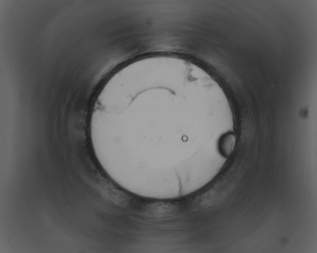 X0000093561314200710221414