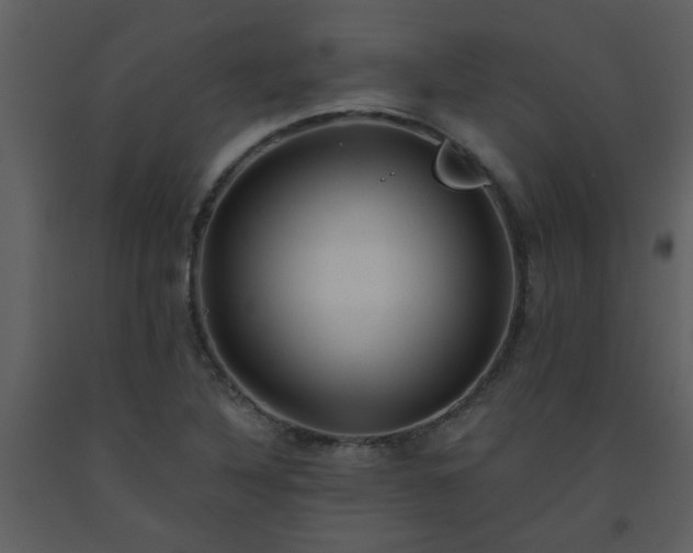 X0000093561316200710221414