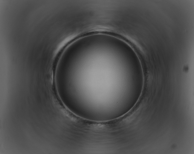 X0000093561317200710221414
