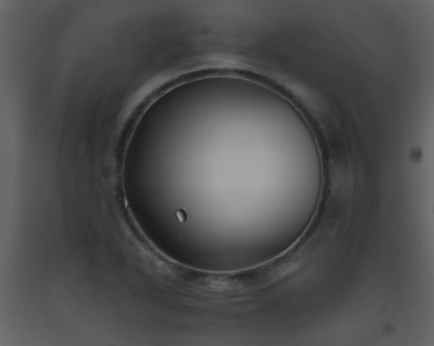 X0000093561318200710221414