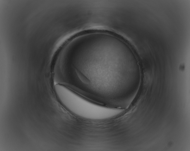 X0000093561319200710221414