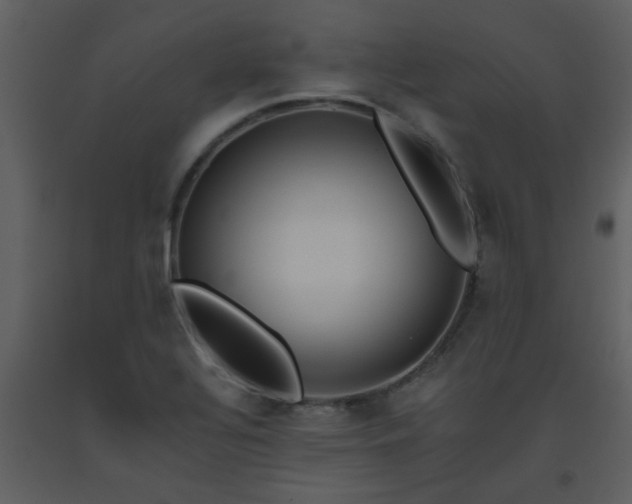 X0000093561320200710221414