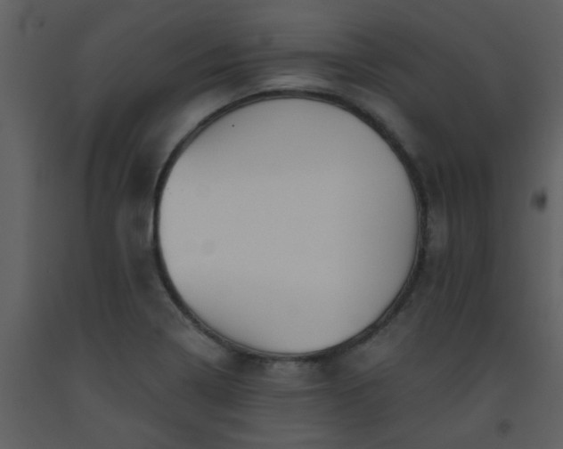 X0000093561322200710221414