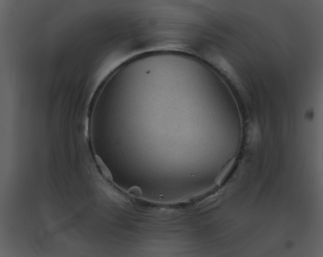 X0000093561324200710221415