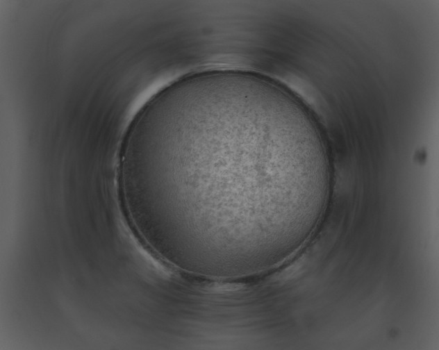 X0000093561325200710221415