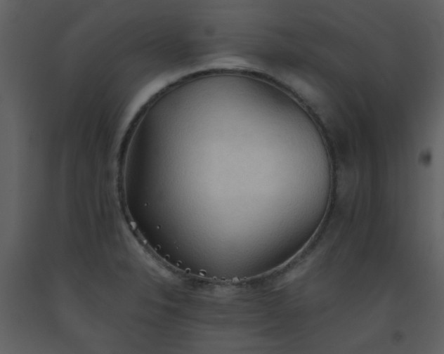 X0000093561326200710221415