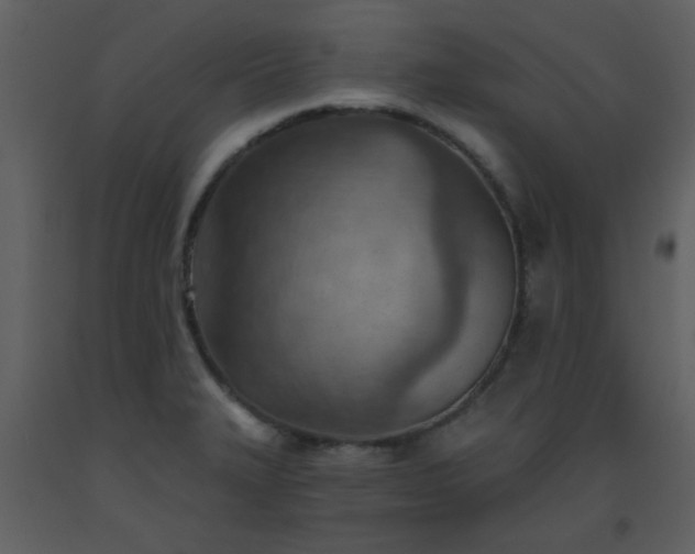 X0000093561327200710221415