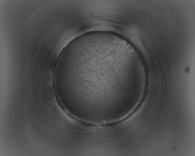 X0000093561329200710221415