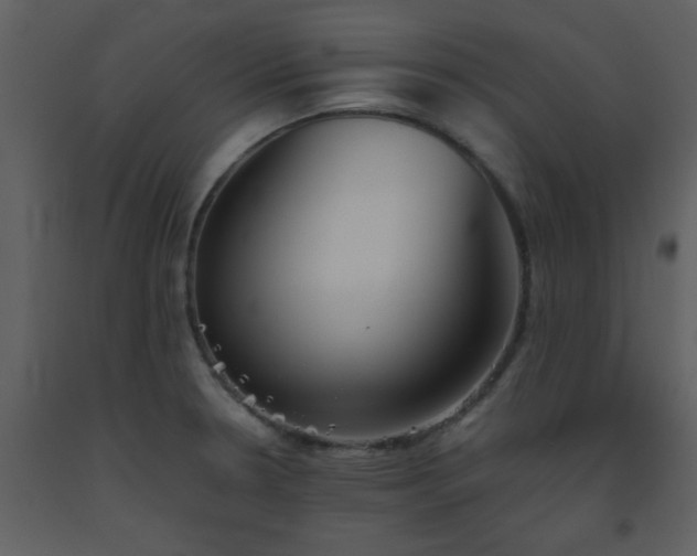 X0000093561330200710221415
