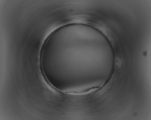 X0000093561331200710221415