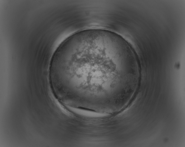 X0000093561333200710221415