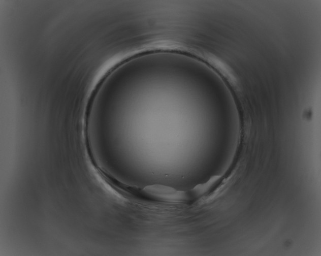 X0000093561334200710221415