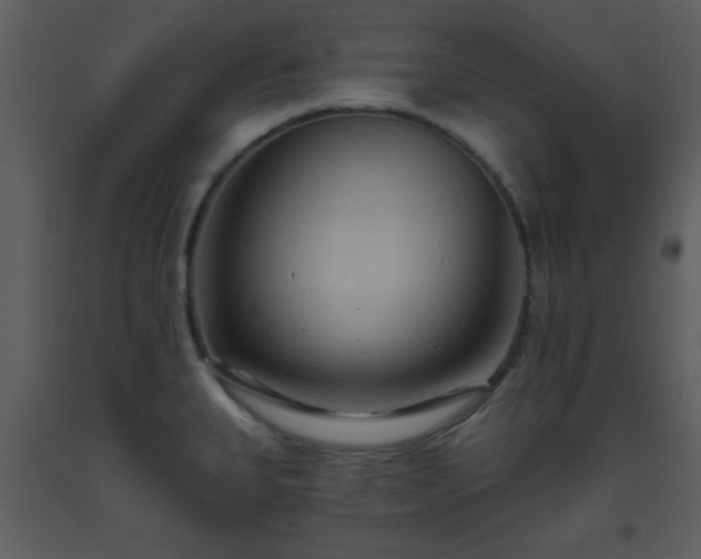 X0000093561335200710221415