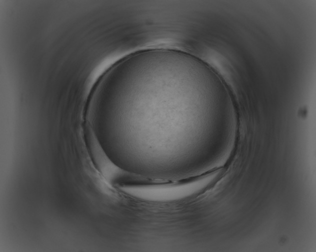 X0000093561336200710221415