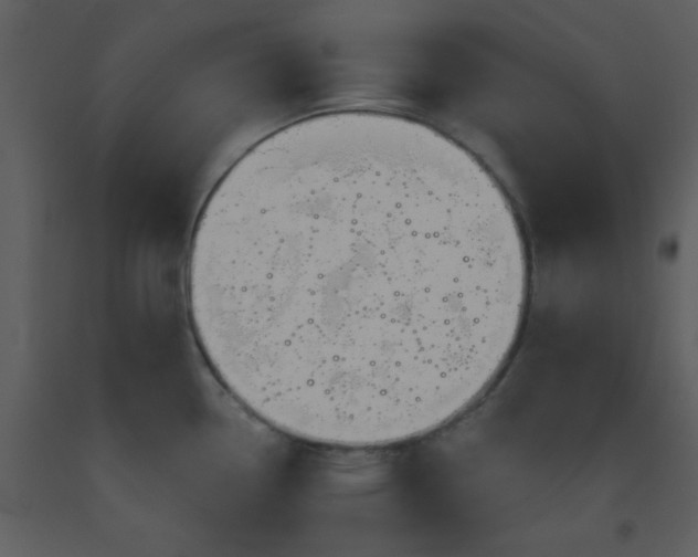 X0000093561338200710221415