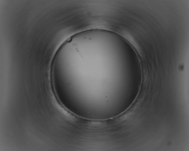 X0000093561339200710221415