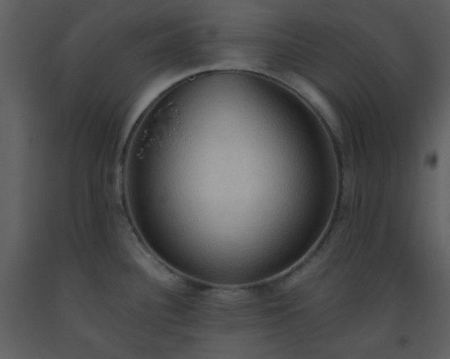 X0000093561340200710221415