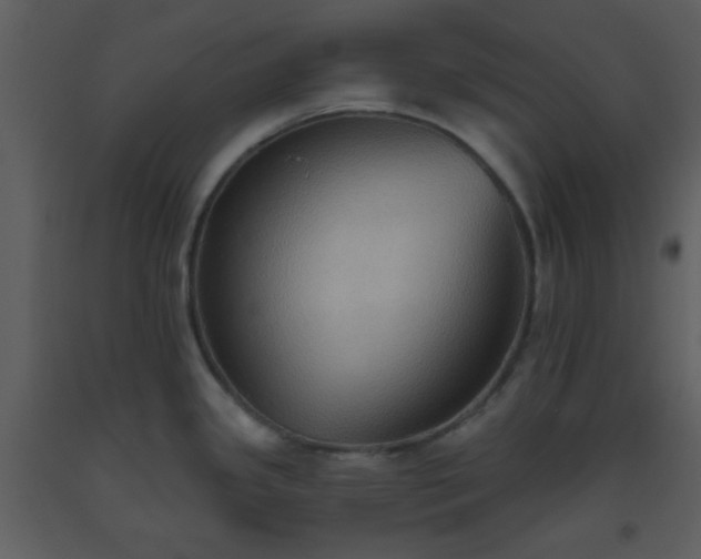 X0000093561341200710221415