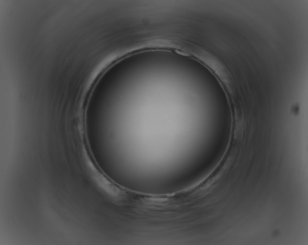 X0000093561342200710221415