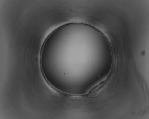 X0000093561343200710221415