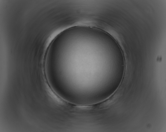 X0000093561344200710221415