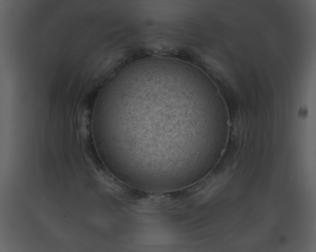 X0000093561346200710221414