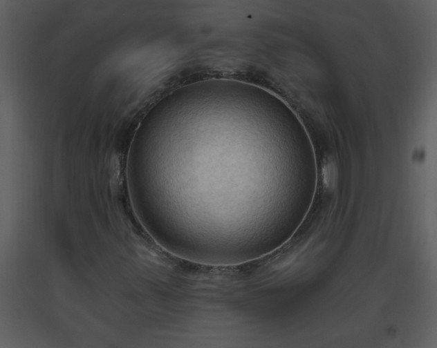 X0000093561347200710221414