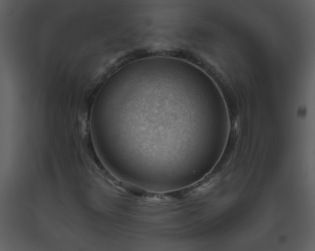X0000093561348200710221414