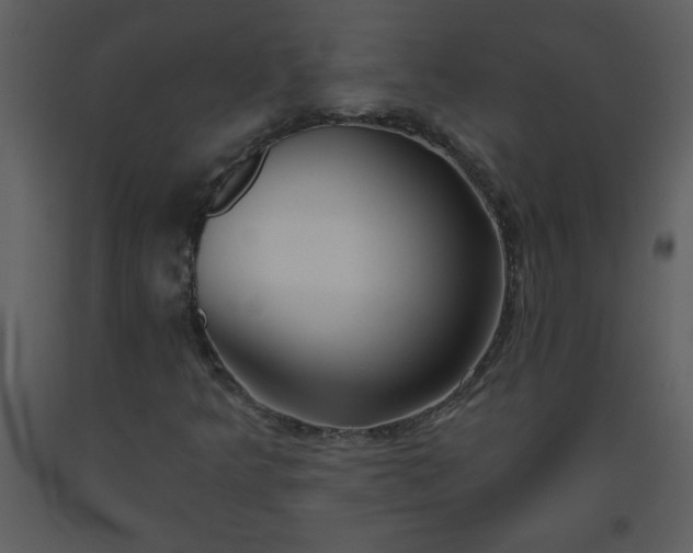 X0000093561349200710221414