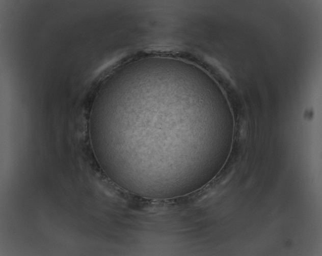 X0000093561350200710221414