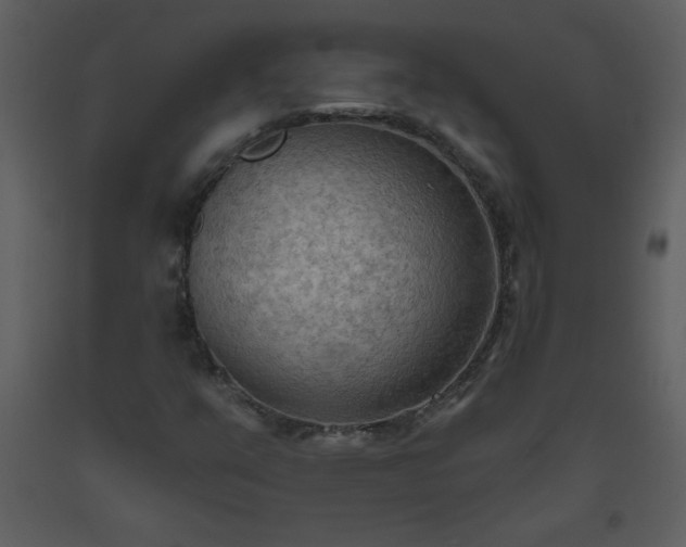 X0000093561351200710221414