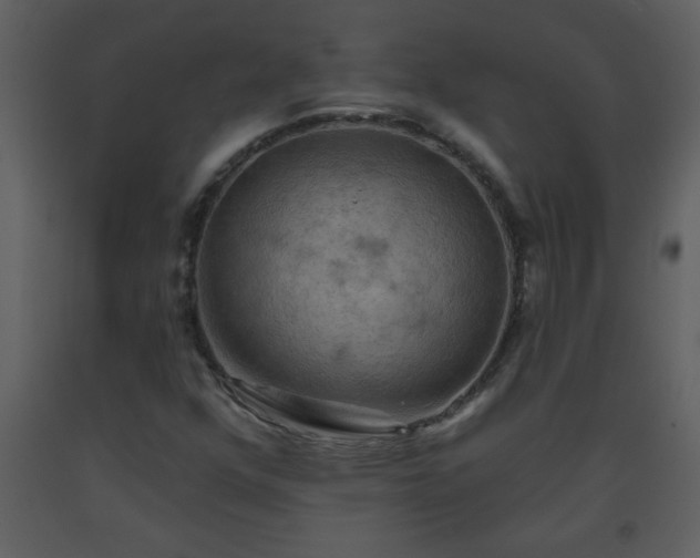 X0000093561352200710221414