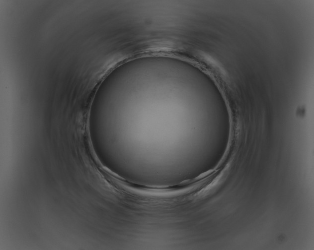 X0000093561353200710221414