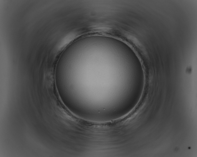 X0000093561354200710221414