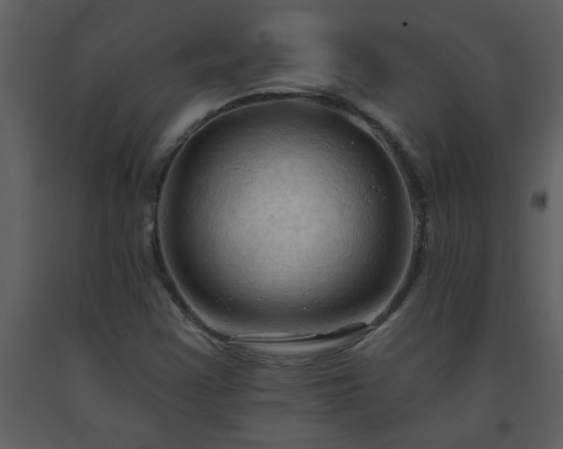 X0000093561355200710221414