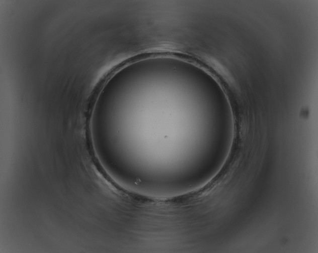 X0000093561356200710221414