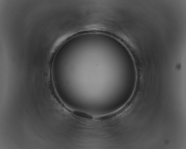 X0000093561358200710221414