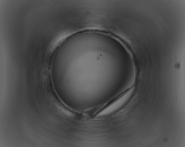 X0000093561359200710221414