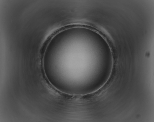 X0000093561360200710221414